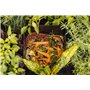 Votre Compost