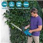Taille-Haies sans-Fil 800W