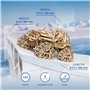 UGEARS Véhicule Tout-Terrain - Maquette en Bois a Construire Voiture - Puzzle 3D en Bois pour Adultes - Idéal pour Les passionné