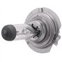 GUIJIALY Voiture Ampoule Lampe Frontale H7(477/499) 12V 55W PX26d Ampoule halogene