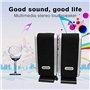 Booso Lot de 2 Enceintes Haut-parleurs USB pour Ordinateur Portable Stéréo 3,5 mm avec Prise d'Oreille pour Ordinateur de Bureau