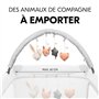 Arche de Jeux Bébé