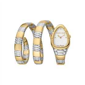 Roberto Cavalli by Franck Muller Femmes Analogique Quartz Montre avec Bracelet en Acier Inoxydable RV1L186M0051