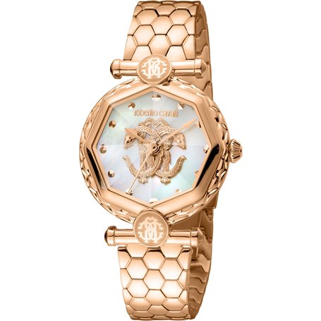 Roberto Cavalli by Franck Muller Femmes Analogique Quartz Montre avec Bracelet en Acier Inoxydable RV1L204M0071