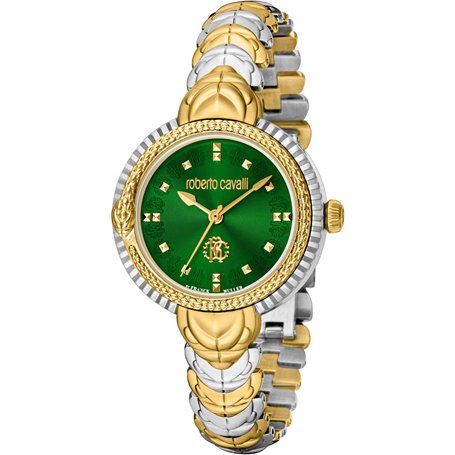 Roberto Cavalli by Franck Muller Femmes Analogique Quartz Montre avec Bracelet en Acier Inoxydable RV1L203M0081