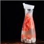 carafe à eau de 1 l avec bec verseur