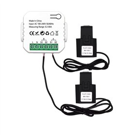 Fowecry Compteur D'Énergie Tuya Smart ZigBee 2 Voies Bidirectionnel avec Pince de Capteur de Courant App Moniteur Puissance 100-