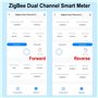 Fowecry Compteur D'Énergie Tuya Smart ZigBee 2 Voies Bidirectionnel avec Pince de Capteur de Courant App Moniteur Puissance 100-
