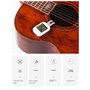 Wernfale Humidificateur de Guitare avec Thermomètre et Hygromètre pour Humidificateur de Guitare, Panneau Anti-Séchage, Fissurat