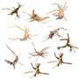 NISHZHU Mini Bois Flotté pour Aquarium Branches en Bois Naturel DéCorations D'Aquarium Tronc d'arbre Bois Flotté Assorti (10 Pac