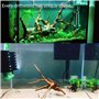 NISHZHU Mini Bois Flotté pour Aquarium Branches en Bois Naturel DéCorations D'Aquarium Tronc d'arbre Bois Flotté Assorti (10 Pac