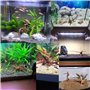 NISHZHU Mini Bois Flotté pour Aquarium Branches en Bois Naturel DéCorations D'Aquarium Tronc d'arbre Bois Flotté Assorti (10 Pac