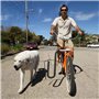 VitalEpcck Kit D'Étagère pour Vélo de Planche de Surf Kit D'Équitation pour Support Latéral pour Vélo