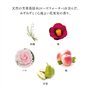Tsubaki Shiseido conditionneur de Cheveux Brillants Doux 450mL