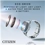 Citizen Montre décontractée BM7550-52L