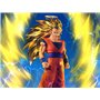 Blood of Saiyans