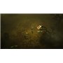 Diablo III - Eternal Collection