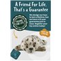 Living Nature, Peluche Phoque Commun, Bébé Phoque en Peluche Doux, Réaliste Jouets Animaux Marins, Peluches Animaux à Collection
