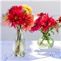 Talking Tables Vase Soliflore en Verre Transparent pour Fleurs Décoration Élégante Centre de Table Mariage Rebord de Fenêtre Fêt