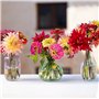 Talking Tables Vase Soliflore en Verre Transparent pour Fleurs Décoration Élégante Centre de Table Mariage Rebord de Fenêtre Fêt