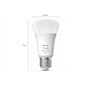 lot de 2 ampoules connectées 75W