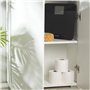Salter 9049 BK3R MAX Pèse Personne Numérique, Balance Personnelle Électronique, Capacité Maximale 250KG, Écran Facile à Lire, Le