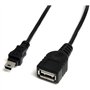 StarTech.com Câble Mini USB 2.0 de 30cm - Cordon USB A vers Mini B - Femelle / Mâle - Noir (USBMUSBFM1)