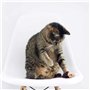 DIGIFLEX 4 Souris Bruyantes à Cataire Chat Jouets pour Animaux Domestiques