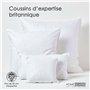 HOMESCAPES Lot de 4 Oreillers en Plumes de Canard et Coton, 65 x 65 cm, Oreillers Naturels Moelleux