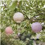 Lights4fun Lot de 3 Lampions Solaires Pastels en Tyvek avec LED Blanc Chaud de Diamètre 20cm pour Exterieur