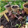 Plantoir en bois, comprend une échelle de mesure pour une plantation précise, outil à main idéal pour planter des graines, des j