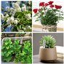 Granvoo Etiquette Jardin Imperméable, 300 Pièces Etiquettes Plantes Etiquettes Semis Réutilisable, 10x2cm Plastique Etiquette Po
