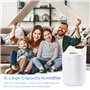 Focenat Humidificateur 3L, 36dB Silencieux pour Chambre et Plantes, Avec Lumière LED et Double-Spray, USB Humidificateur d'Air p