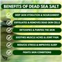 Sels de Bain pour Bain de Pieds de la Mer Morte aux Huiles d’Arbre à Thé et d’Eucalyptus Made In U.K [450g] 100% Naturels - Lutt