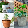 BELLE VOUS Pied Pot de Fleur Invisible (Lot de 50) - Pied Caoutchouc Noir pour Surélever Les Plantes - Tampon Auto-Adhésif pour 