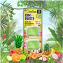 Bin Brite Lot de 3 désodorisants à coller pour poubelle – Soleil méditerranéen, Lost in Paradise, Island Fruit – Désodorisant po