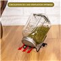 Belle Vous Kit de Germoire à Graine 6 Pièces - 4 Couvercles en Acier Inoxydable et 2 Supports - Kit Germination Graine pour Pots