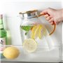 Carafe en Verre Borosilicate avec Couvercle en Acier Inoxydable