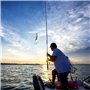 Vesaneae 6pcs Leurres Souples de Pêche, Leurres de Pêches 3D Artificielles à Aspect Réaliste, Appâts de Pêche Souples en Caoutch