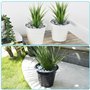 BELLE VOUS Galets Naturels Décoratifs Gris - 3,4 kg de Mini Pierres Assorties - Gravier de Rivière Décoratif pour Vases - Pots d