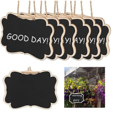Wisebom Lot de 20 Etiquettes à Planter Pancarte en Bois pour l'Étiquetage des Plantes Mini Signe des Étiquettes en Bois Ardoise