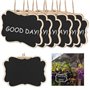 Wisebom Lot de 20 Etiquettes à Planter Pancarte en Bois pour l'Étiquetage des Plantes Mini Signe des Étiquettes en Bois Ardoise