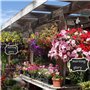 Wisebom Lot de 20 Etiquettes à Planter Pancarte en Bois pour l'Étiquetage des Plantes Mini Signe des Étiquettes en Bois Ardoise 