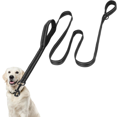 Euqvunn Laisse Chien 2m avec Double poignées rembourrées | Coutures réfléchissantes | Corde en Nylon pour Grands et Moyens Chien