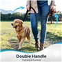 Euqvunn Laisse Chien 2m avec Double poignées rembourrées | Coutures réfléchissantes | Corde en Nylon pour Grands et Moyens Chien