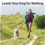 Euqvunn Laisse Chien 2m avec Double poignées rembourrées | Coutures réfléchissantes | Corde en Nylon pour Grands et Moyens Chien