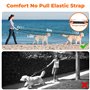 4 à 2 m | Anti Traction pour Gros Chien | Double Poignée Rembourrée | Corde Amortisseur | Réfléchi