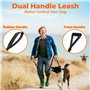 Euqvunn Laisse Élastique de 1,4 à 2 m | Anti Traction pour Gros Chien | Double Poignée Rembourrée | Corde Amortisseur | Réfléchi