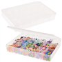 Baker Ross FN263 Boîte de rangement à compartiments - Pack de 1