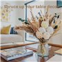 Herbe de Pampa avec Vase Inclus pour la décoration de Chambre à
